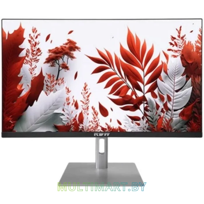 Монитор RDW Computers RDW2407K (F14В3120V2A1B)